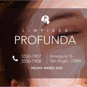 Promoción de Limpieza Profunda